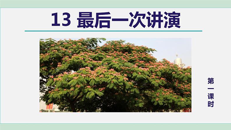 部编版八年级语文下册课件---13.最后一次讲演第2页