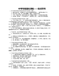 2022年中考语文二轮专题训练：标点符号