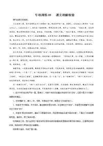 专项训练09：课文理解检验 期末专项复习作业 初中语文人教部编版七年级下册（2022年）