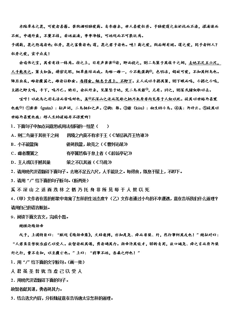 2022届山东省临沂市兰山区部分校毕业升学考试模拟卷语文卷含解析第3页