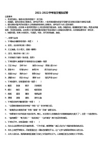 2022届江苏省苏州市实验中学中考语文最后一模试卷含解析