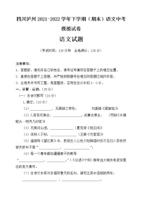 四川省泸州市2022年中考语文模拟试卷 (不含答案)