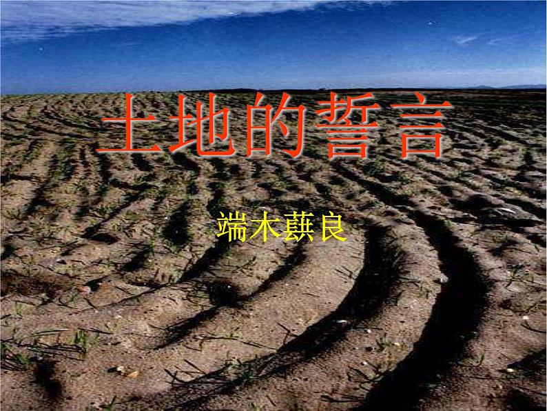 初中语文人教版(部编)七年级下册7土地的誓言3 课件第4页
