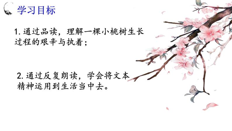 初中语文人教版（部编）七年级下册18一棵小桃树 课件03
