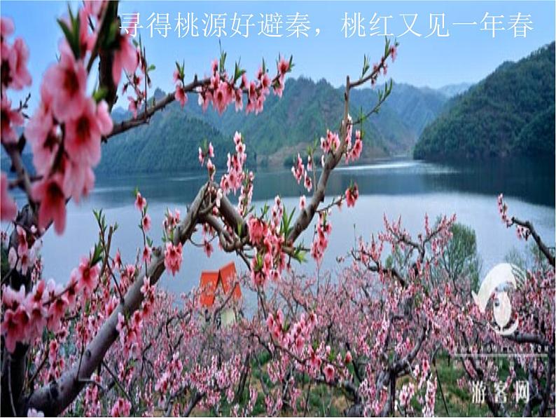 初中语文人教版(部编)七年级下册18一棵小桃树9 课件第3页