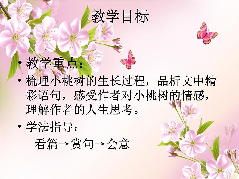 初中语文人教版(部编)七年级下册18一棵小桃树9 课件第6页