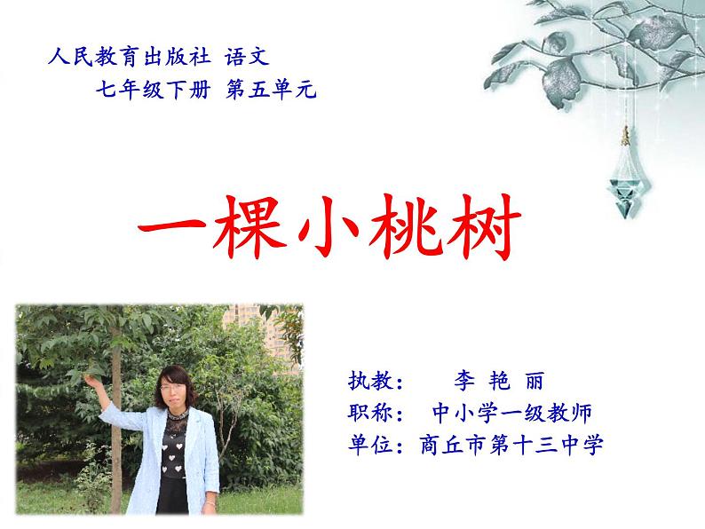 初中语文人教版(部编)七年级下册18一棵小桃树3 课件第1页