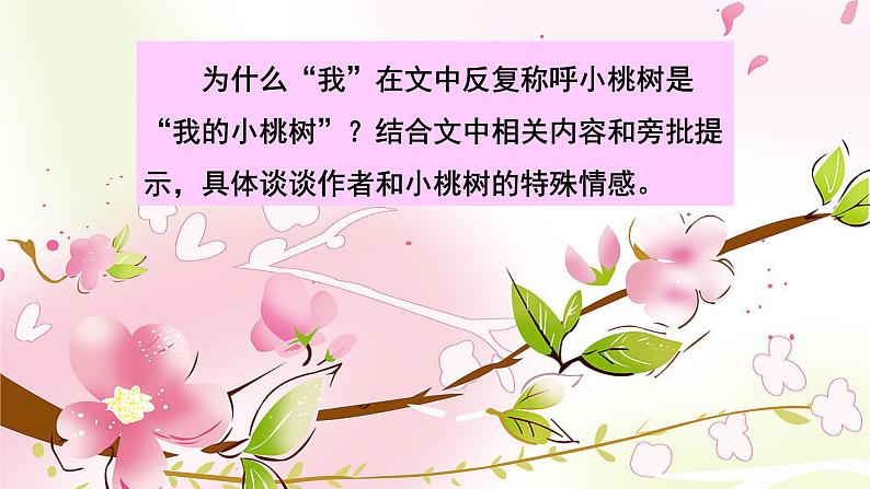 初中语文人教版(部编)七年级下册18一棵小桃树2 课件第4页