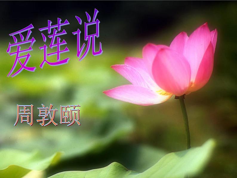 初中语文人教版(部编)七年级下册爱莲说1 课件第2页