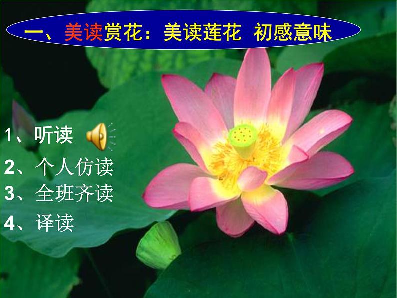 初中语文人教版(部编)七年级下册爱莲说5 课件04
