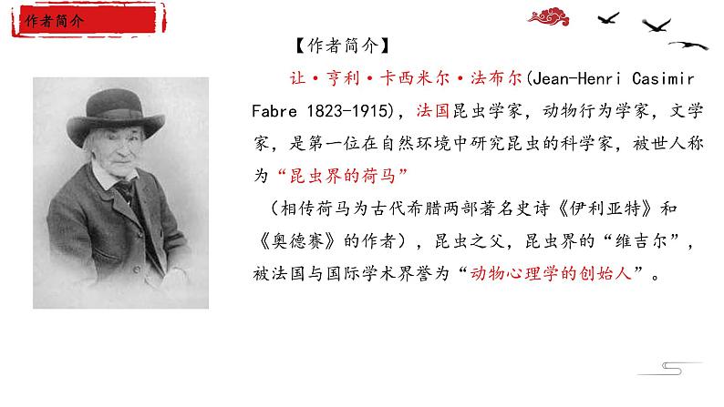 中考名著阅读之《昆虫记》复习课件2022年中考语文一轮复习第3页
