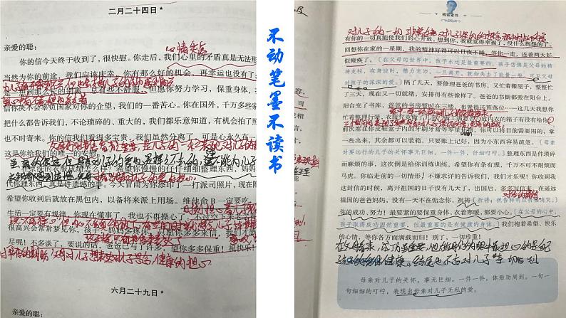 初中语文人教版(部编)八年级下册《傅雷家书》:选择性阅读 课件第2页