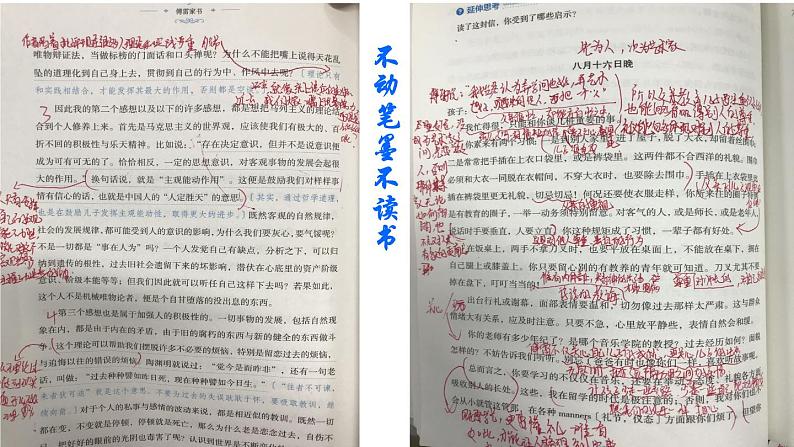 初中语文人教版(部编)八年级下册《傅雷家书》:选择性阅读 课件第3页