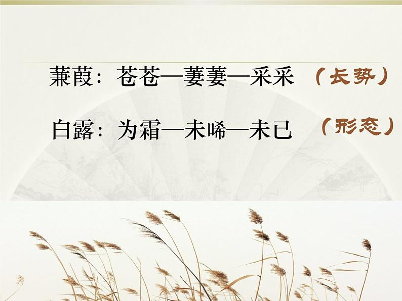 初中语文人教版(部编)八年级下册蒹葭 课件第5页