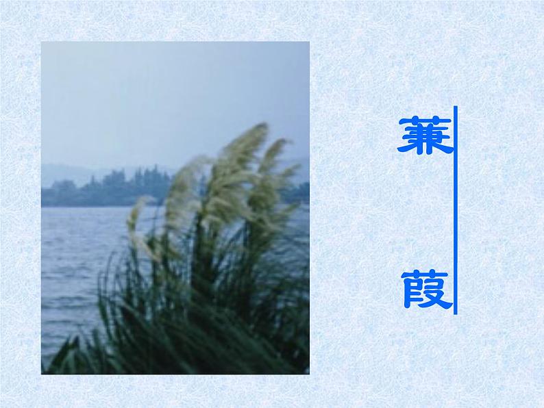 初中语文人教版(部编)八年级下册蒹葭2 课件01