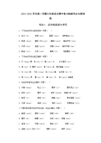 考点1  汉字的读音与书写-2021-2022学年八年级下册语文期中考试高频考点专题训练