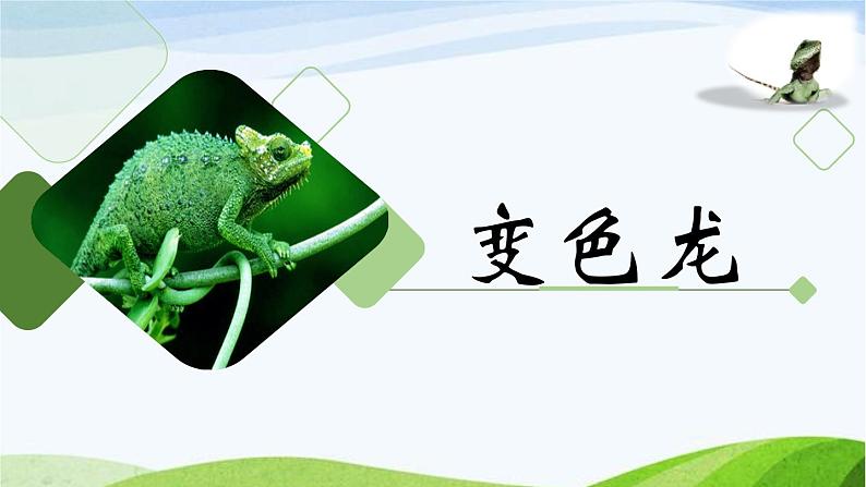 第二单元《变色龙》课件2 初中语文人教部编版(五四制)九年级下册第1页