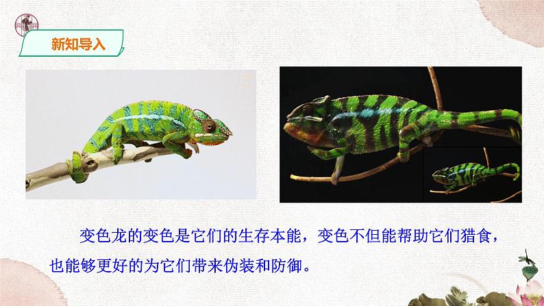 第二单元《变色龙》精品课件1 初中语文人教部编版(五四制)九年级下册(2022)03