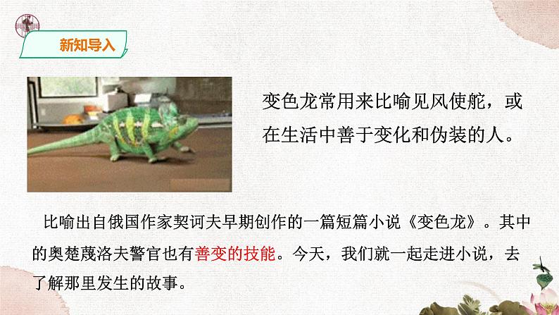 第二单元《变色龙》精品课件1 初中语文人教部编版(五四制)九年级下册(2022)04