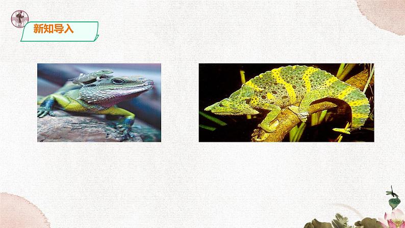 第二单元《变色龙》精品课件2 初中语文人教部编版(五四制)九年级下册(2022)第3页