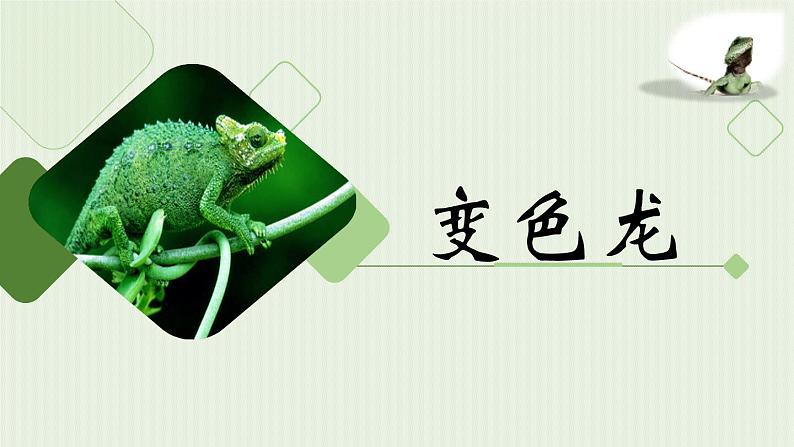 第二单元《变色龙》课件1 初中语文人教部编版(五四制)九年级下册(2022)第1页