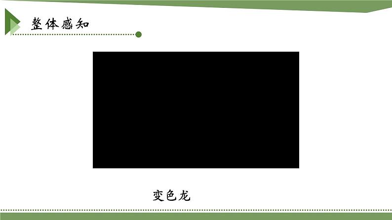 第二单元《变色龙》课件1 初中语文人教部编版(五四制)九年级下册(2022)第4页