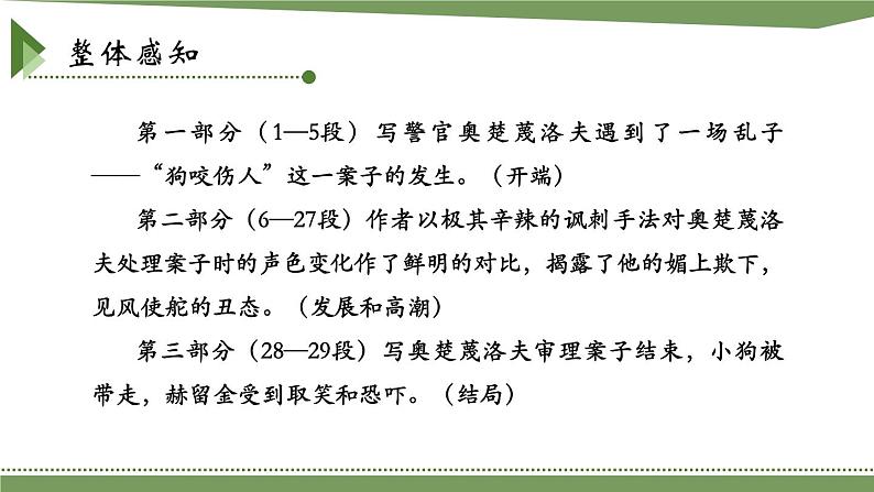 第二单元《变色龙》课件1 初中语文人教部编版(五四制)九年级下册(2022)第6页