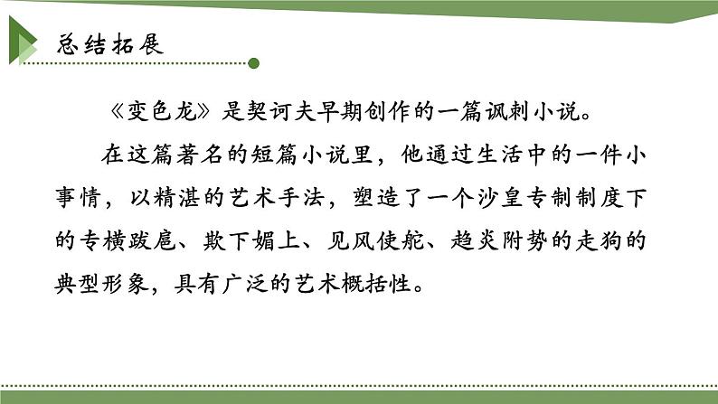 第二单元《变色龙》课件1 初中语文人教部编版(五四制)九年级下册(2022)第7页