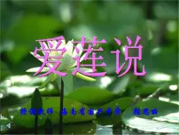 语文人教部编版爱莲说教课课件ppt