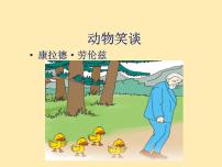 初中语文人教部编版七年级上册动物笑谈评课课件ppt
