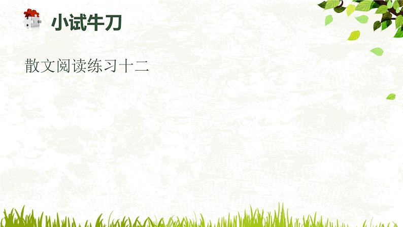 初中语文阅读联系指导课练习12到15答案课件PPT第2页