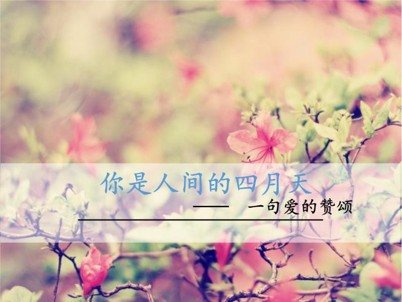 初中语文 人教2011课标版（部编）九年级上册 4 你是人间的四月天——一句爱的赞颂 课件02