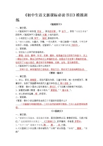 2022年中考语文专项复习-名著练习题