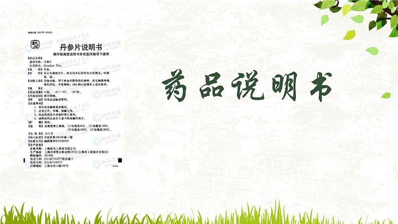 初中语文之说明文知识概说课件PPT第3页