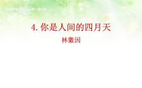 人教部编版九年级上册5 你是人间的四月天集体备课ppt课件