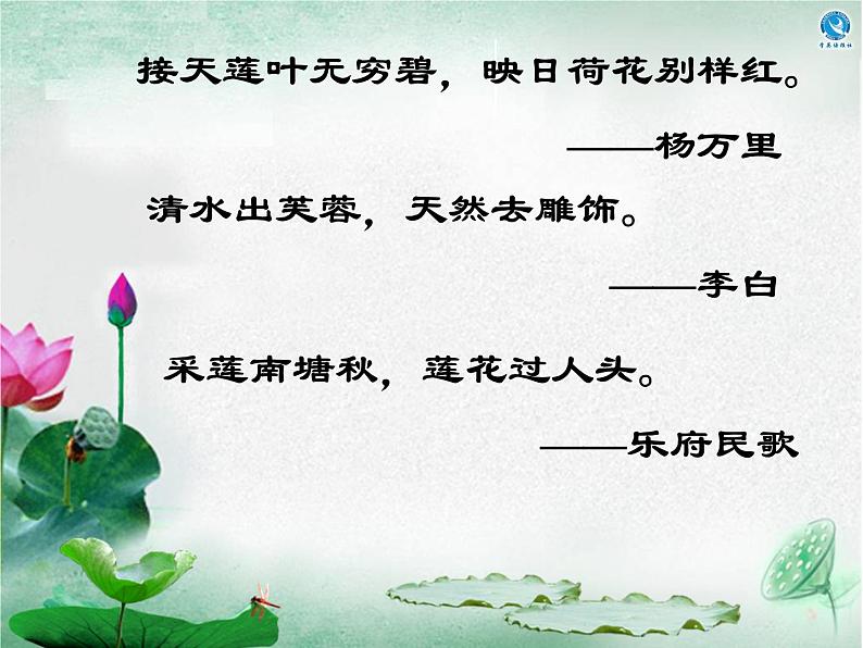 2022深圳市《爱莲说》市优质课 ppt(一等奖)06