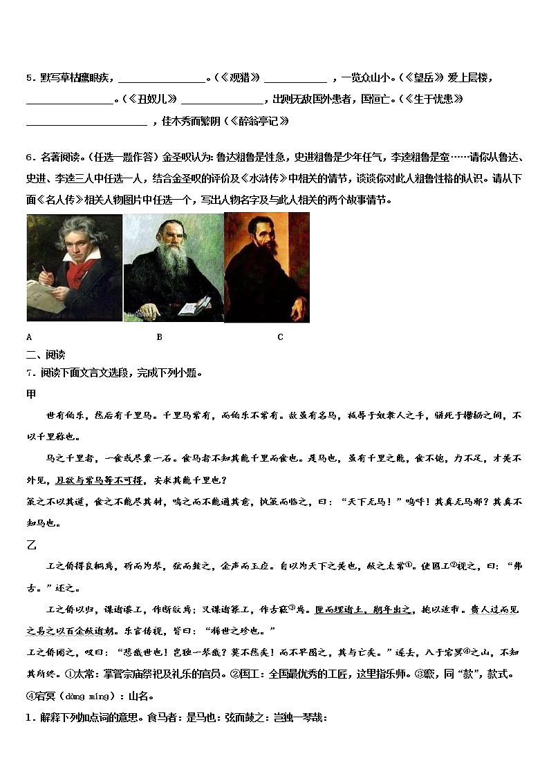2022届江西省赣州市宁都县重点名校中考语文最后冲刺模拟试卷含解析02