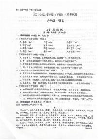 四川省成都市树德实验中学2021-2022学年八年级下学期半期语文试题（含答案）