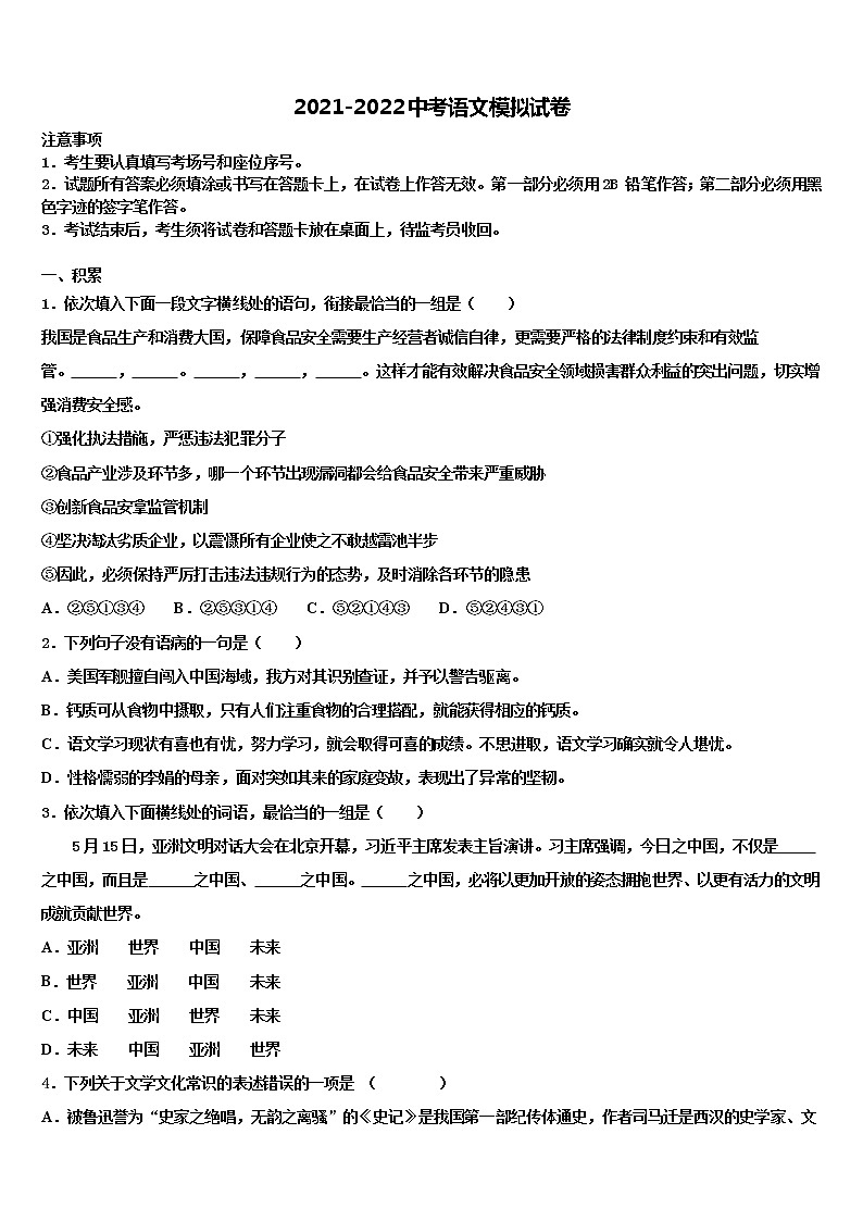 2022年湖南省邵阳市双清区第十一中学十校联考最后语文试题含解析01