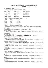2022年黑龙江省哈尔滨市松雷中学中考二模语文试题