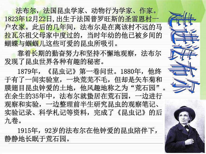 初中语文 人教课标版(部编)八年级上册《昆虫记》:科普作品的阅读 昆虫记 课件05