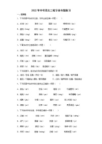 2022年中考语文二轮字音专题复习（含答案）