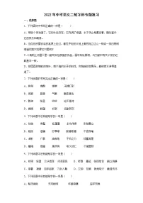 2022年中考语文二轮字形专题复习（含答案）