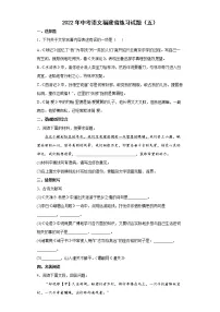 2022年中考语文福建省练习试题(五)