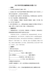 2022年中考语文福建省练习试题(九)