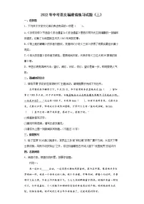 2022年中考语文福建省练习试题(三)