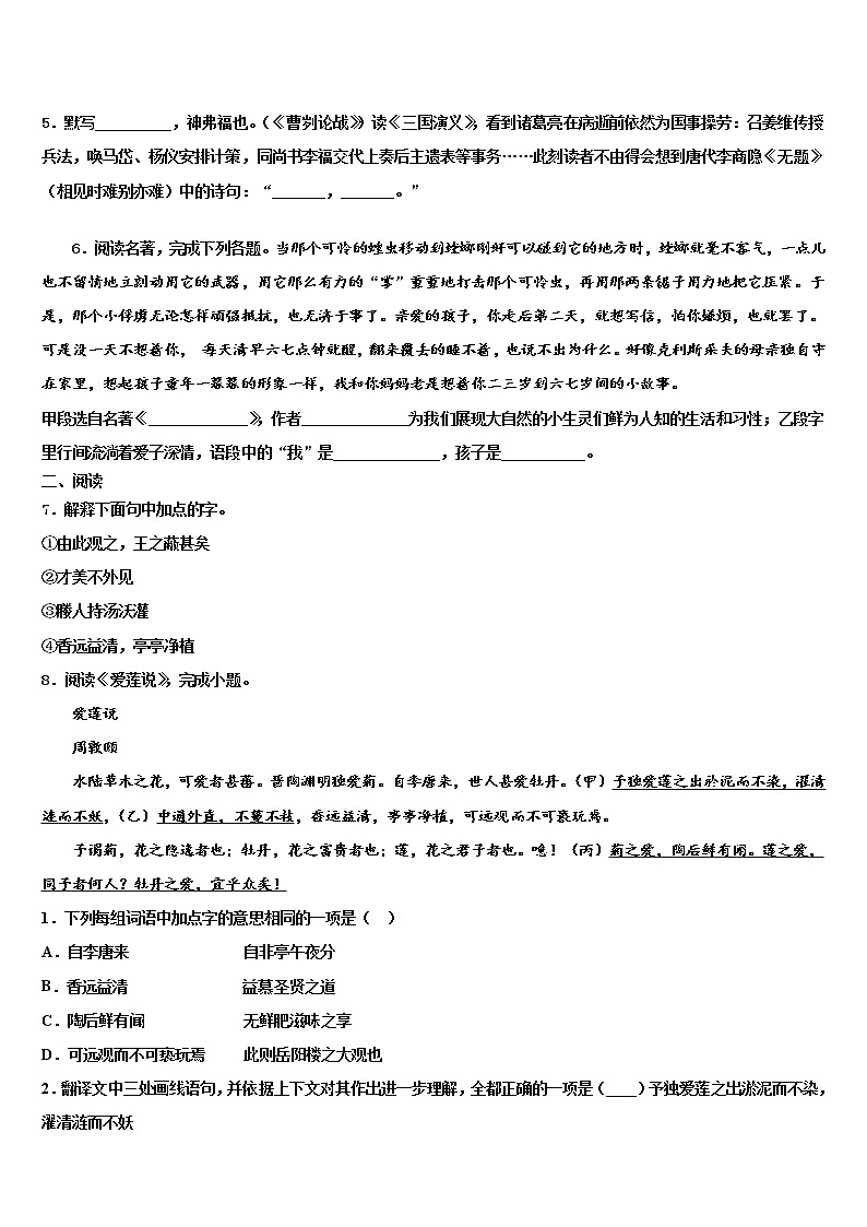 安徽省马鞍山市和县达标名校2021-2022学年中考语文最后冲刺浓缩精华卷含解析02