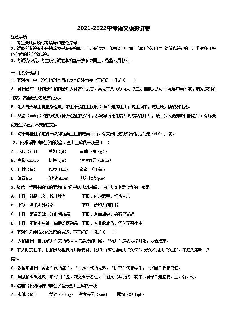 安徽省宿州市埇桥区教育集团重点中学2022年毕业升学考试模拟卷语文卷含解析01