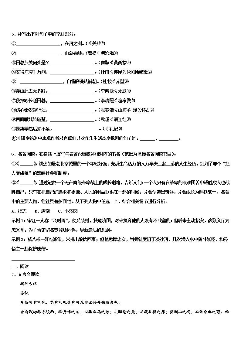 安徽省合肥市肥东县2021-2022学年中考语文适应性模拟试题含解析02