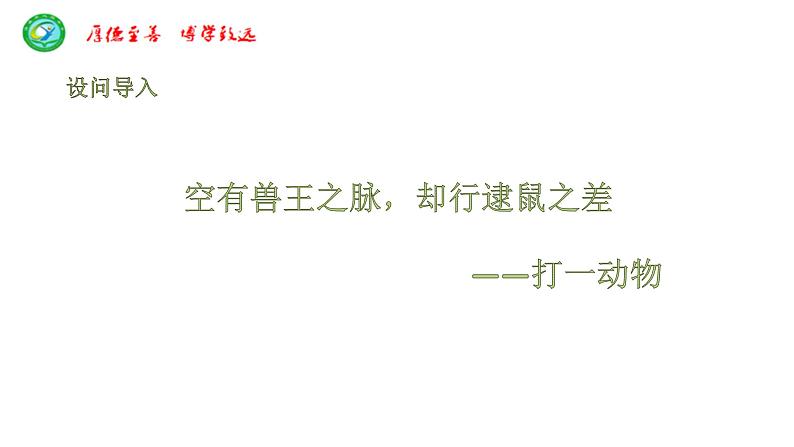 猫 教学课件01